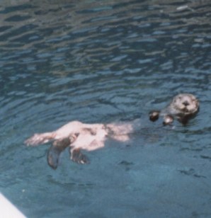 Pavilhao dos Oceanos